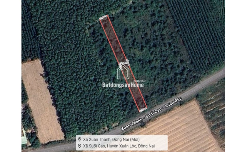 D1823 ⚡️ Giảm 300tr! đất Mặt tiền Xuân Thành Đồng Nai, SHR, 10x116m, 1.x tỷ